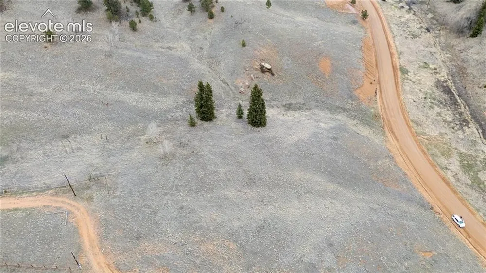 175 Twin Lakes Drive Divide, CO 80814
