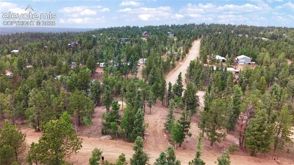 19 Aster Road Woodland Park, CO 80863