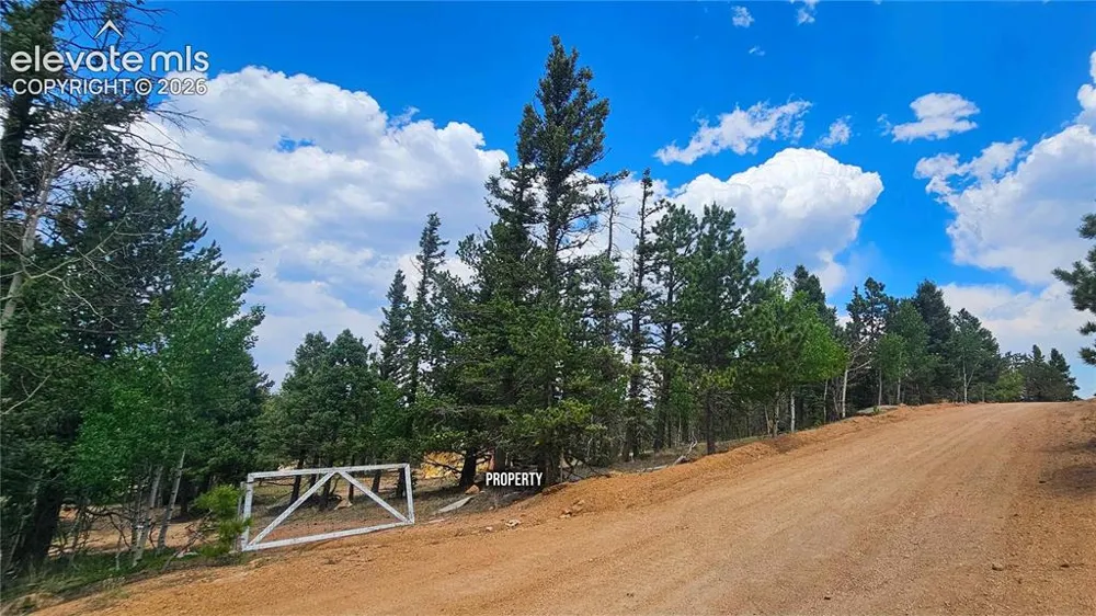 19 Aster Road Woodland Park, CO 80863