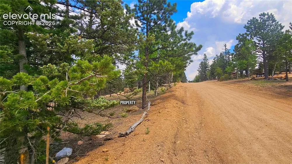 19 Aster Road Woodland Park, CO 80863