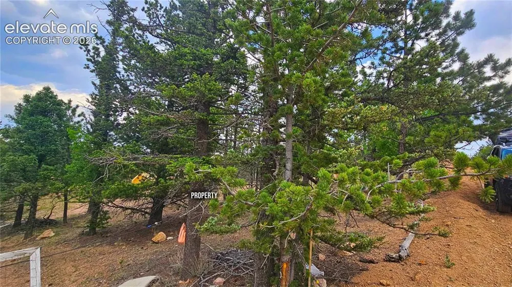19 Aster Road Woodland Park, CO 80863