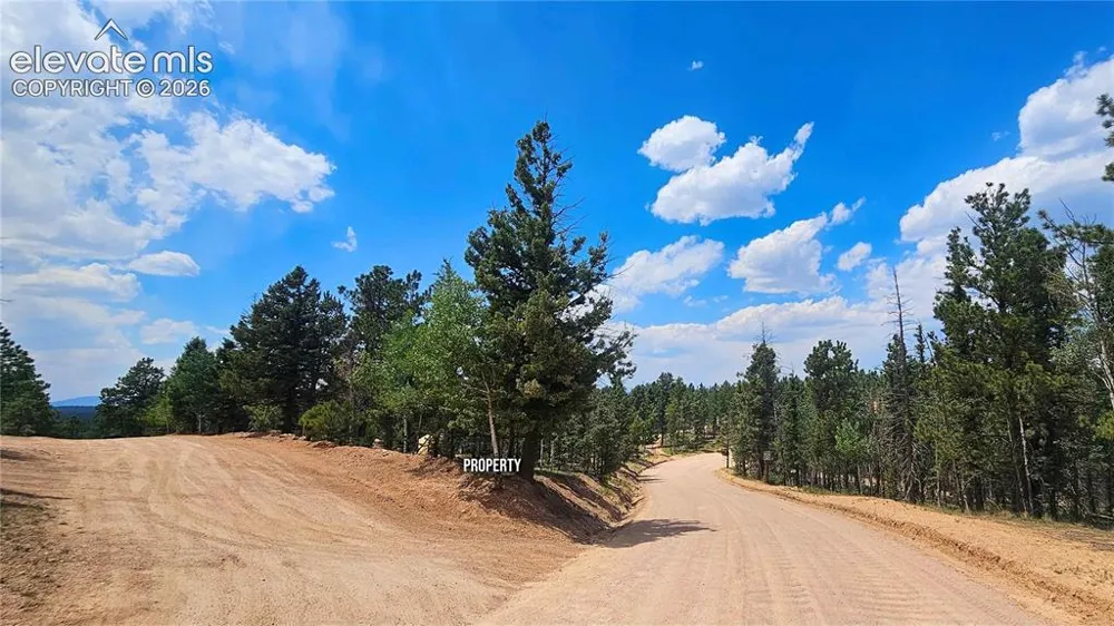 19 Aster Road Woodland Park, CO 80863