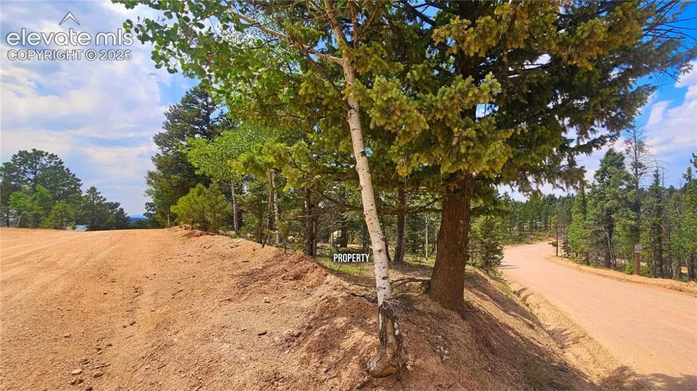 19 Aster Road Woodland Park, CO 80863