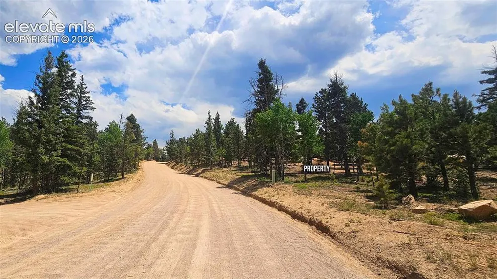 19 Aster Road Woodland Park, CO 80863