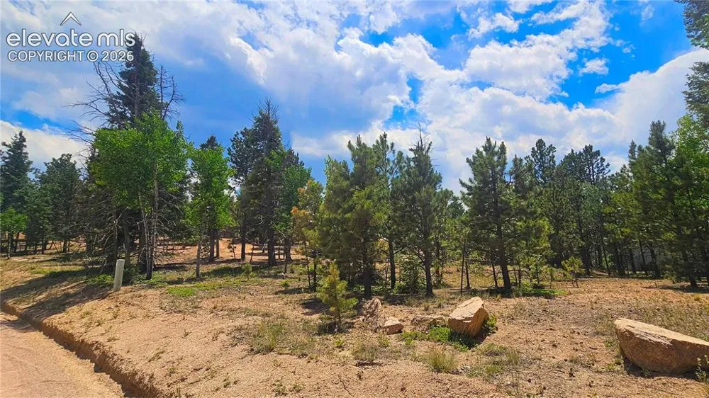 19 Aster Road Woodland Park, CO 80863