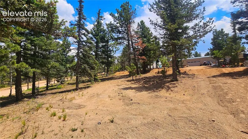 19 Aster Road Woodland Park, CO 80863