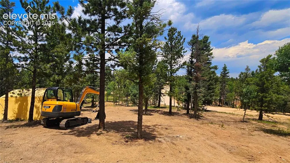 19 Aster Road Woodland Park, CO 80863