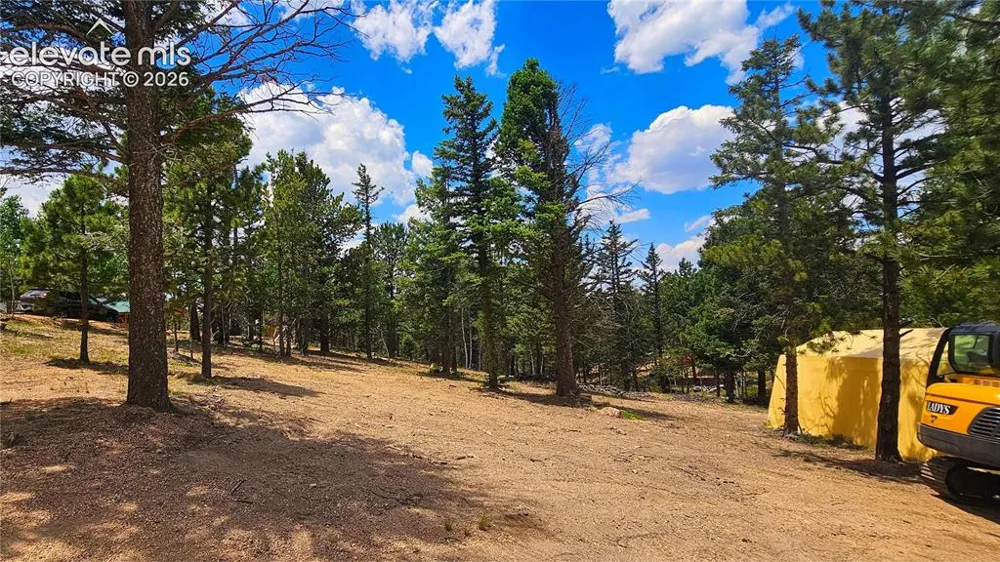 19 Aster Road Woodland Park, CO 80863