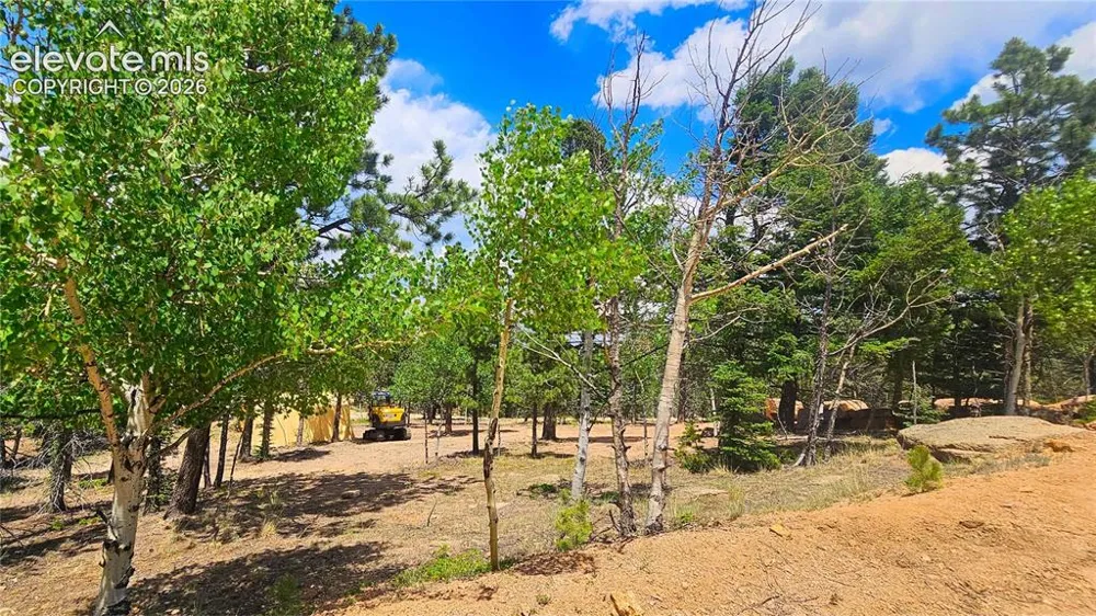 19 Aster Road Woodland Park, CO 80863