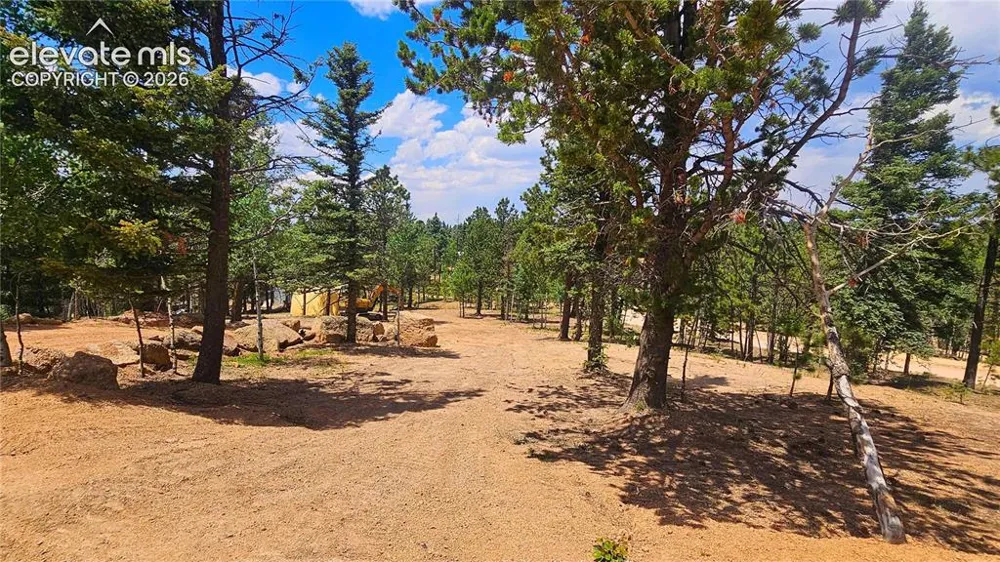 19 Aster Road Woodland Park, CO 80863