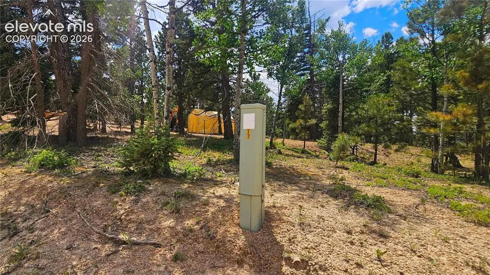 19 Aster Road Woodland Park, CO 80863