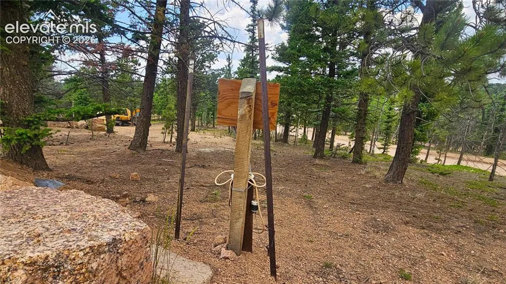 19 Aster Road Woodland Park, CO 80863