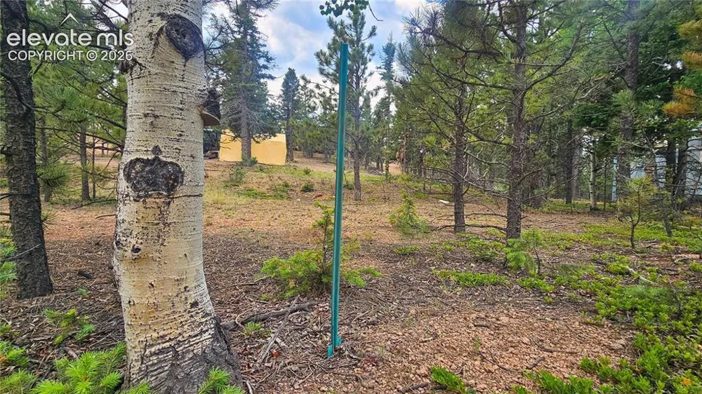 19 Aster Road Woodland Park, CO 80863