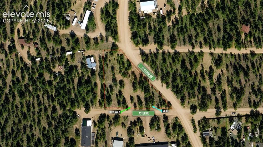 19 Aster Road Woodland Park, CO 80863