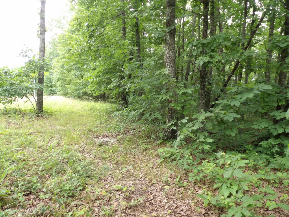 108 Gray Rock View Pikeville, TN 37367