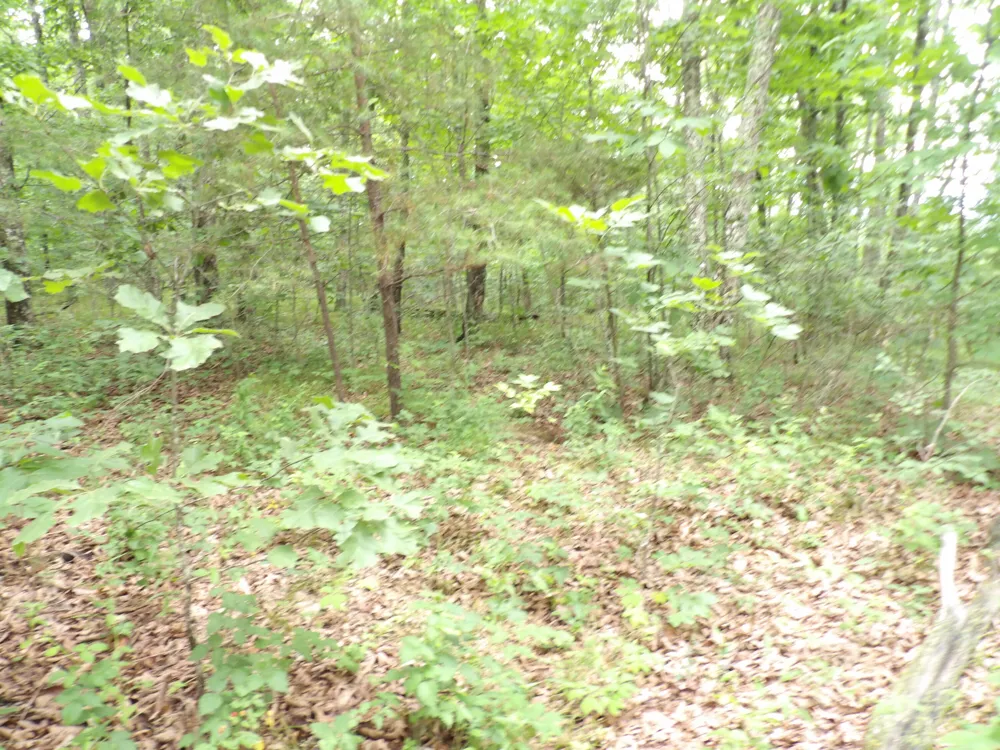 108 Gray Rock View Pikeville, TN 37367