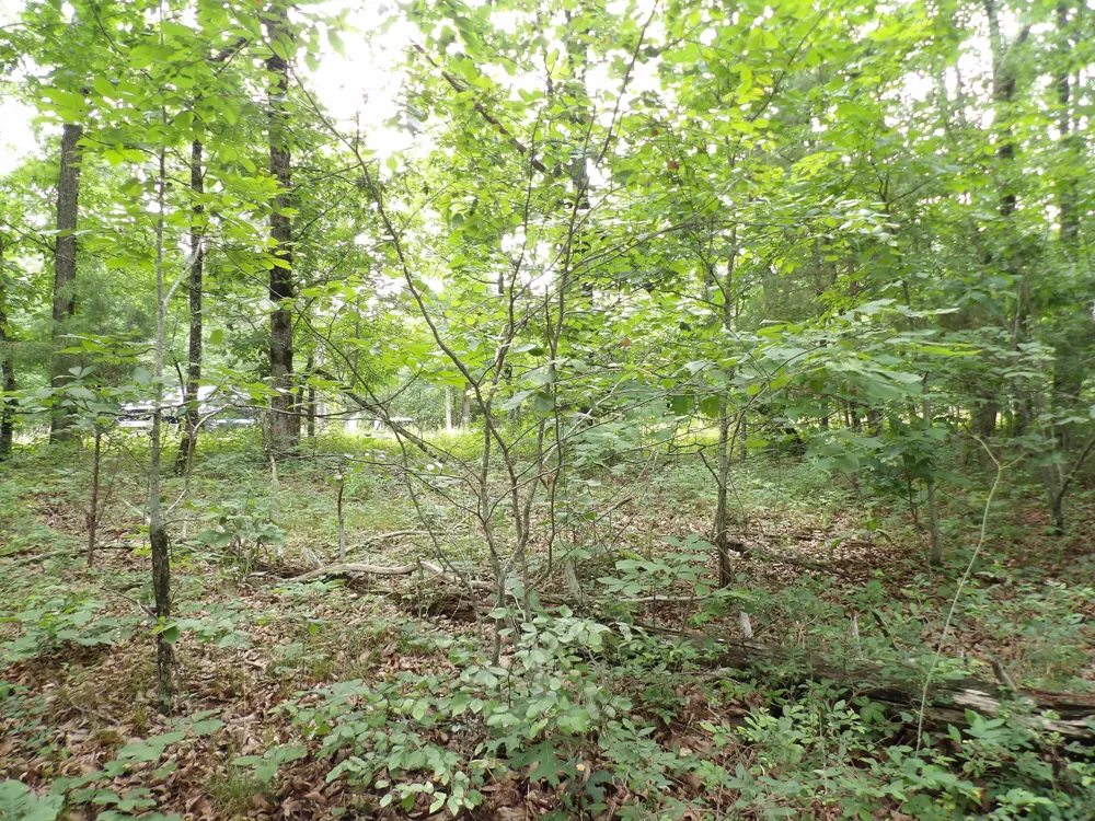 108 Gray Rock View Pikeville, TN 37367