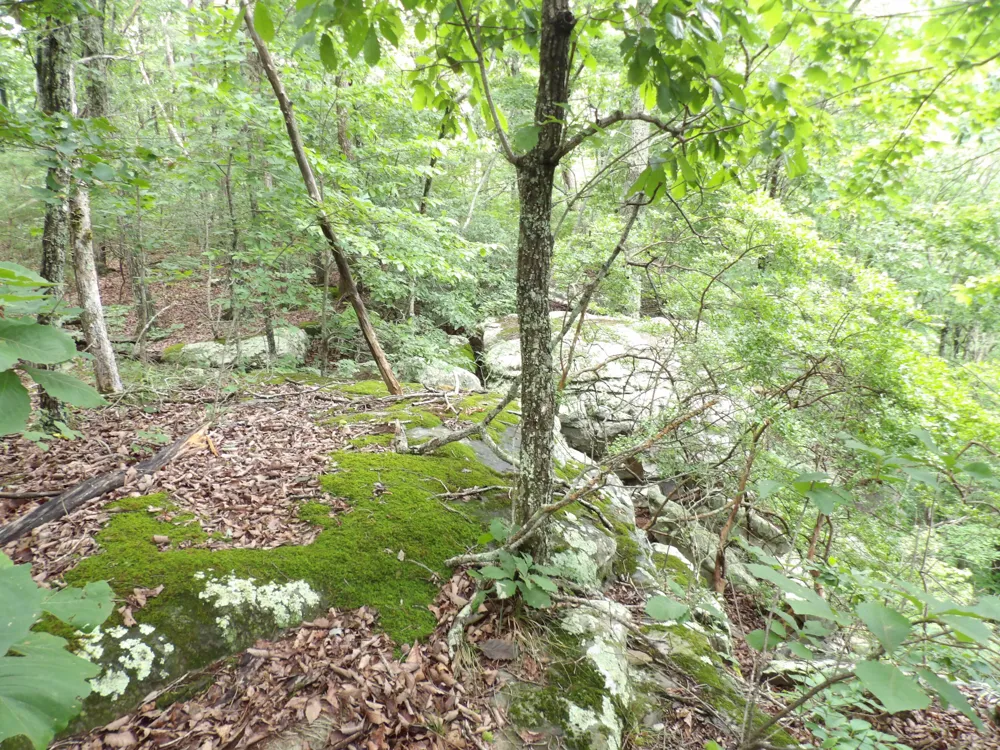 108 Gray Rock View Pikeville, TN 37367