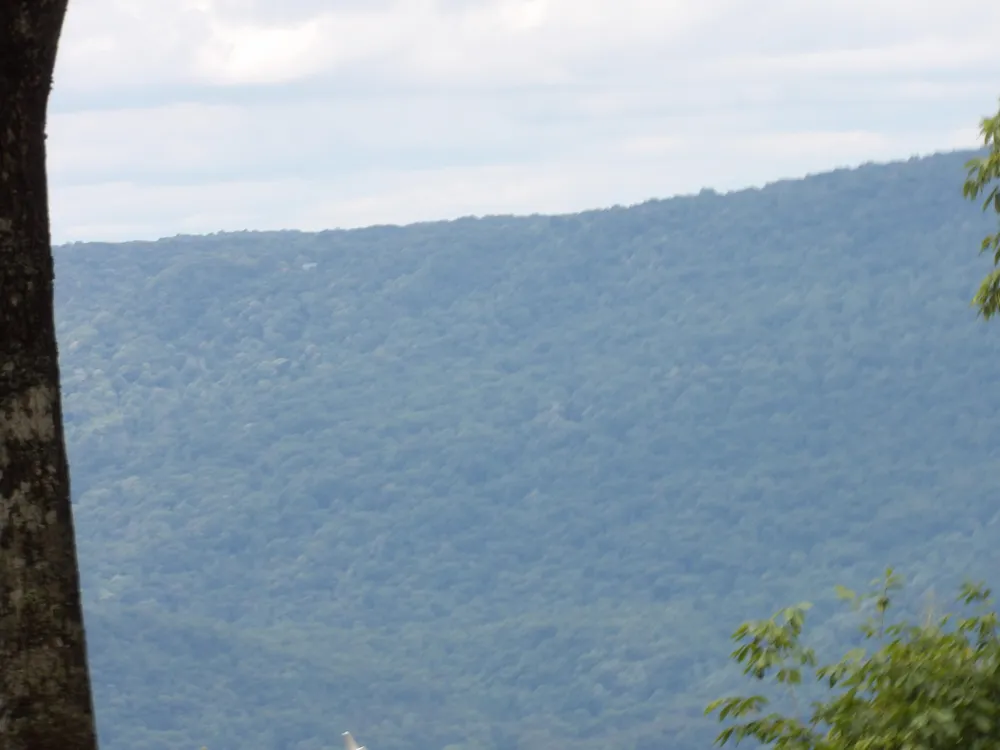 108 Gray Rock View Pikeville, TN 37367