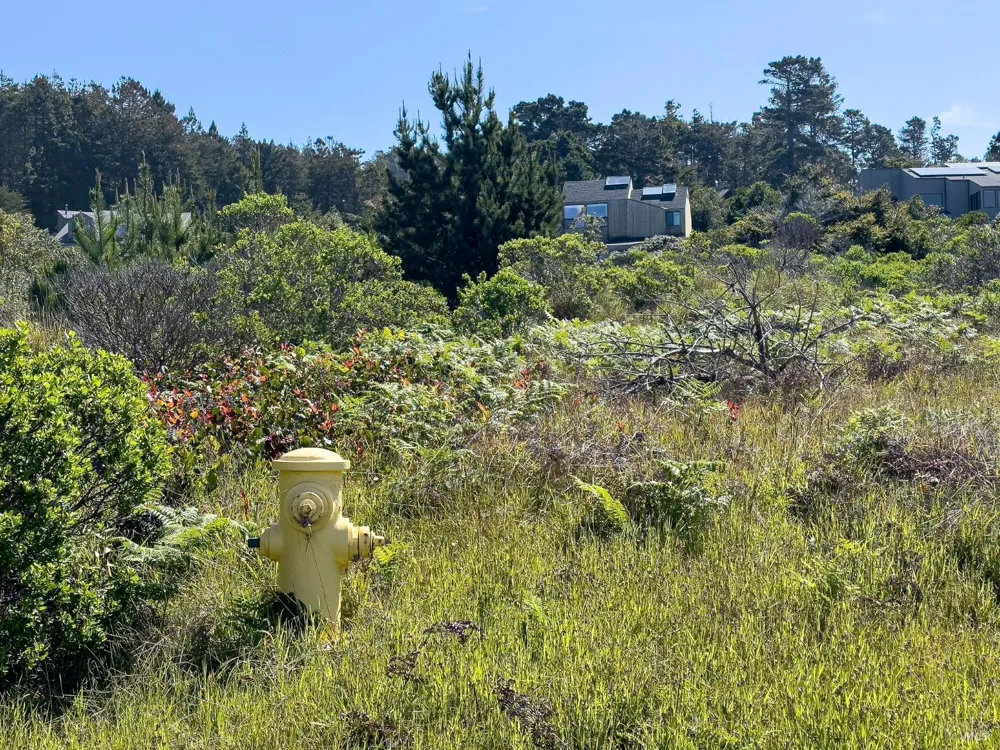 106 Hares Tail The Sea Ranch, CA 95497