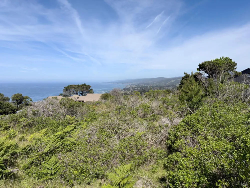 106 Hares Tail The Sea Ranch, CA 95497