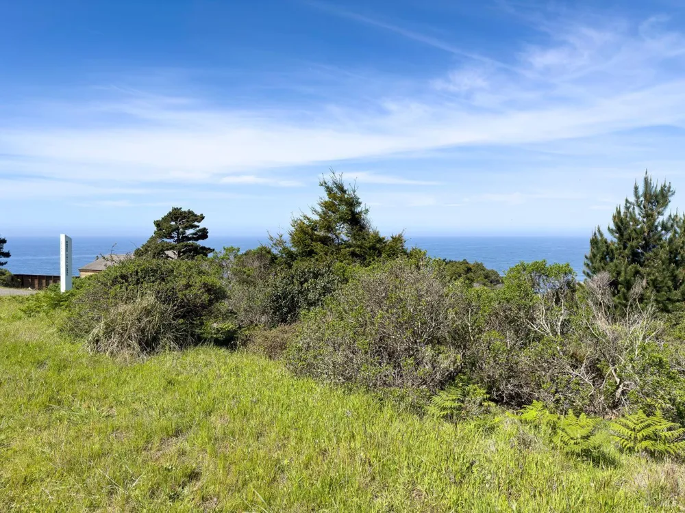 106 Hares Tail The Sea Ranch, CA 95497