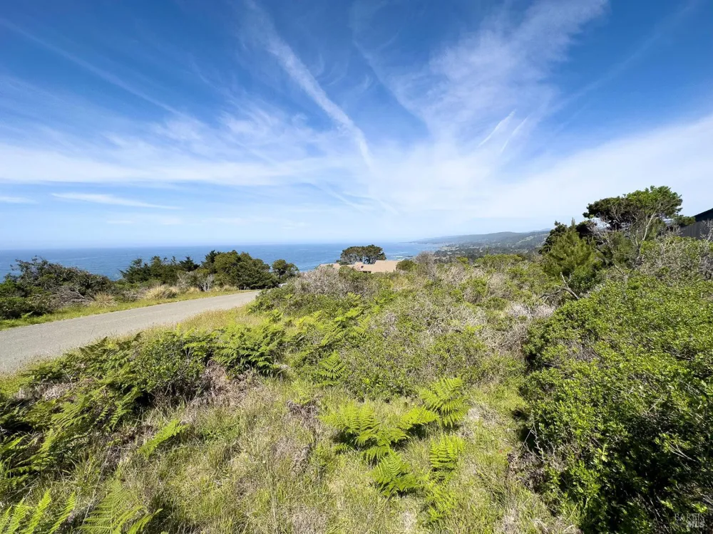 106 Hares Tail The Sea Ranch, CA 95497