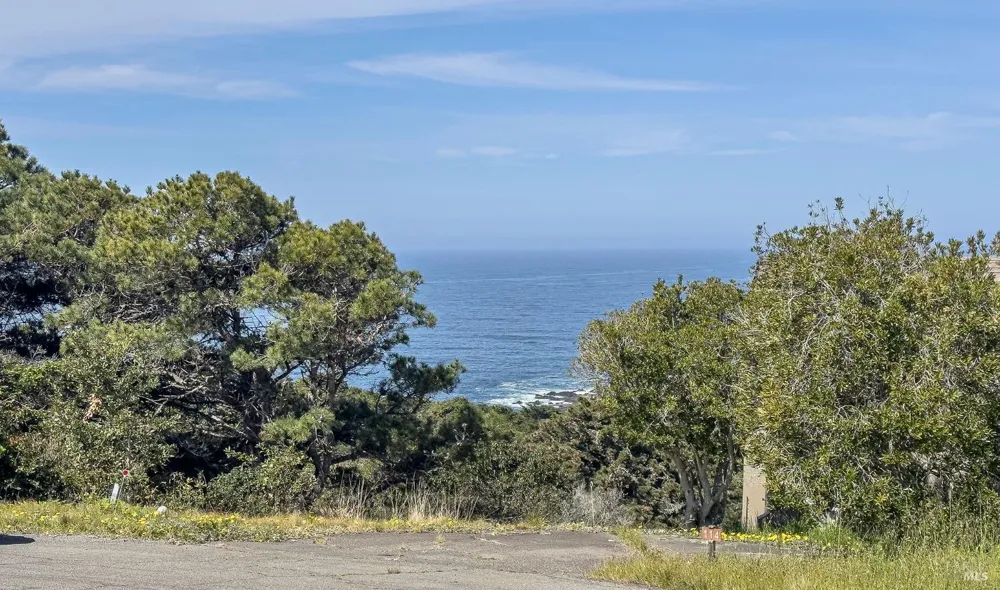 106 Hares Tail The Sea Ranch, CA 95497