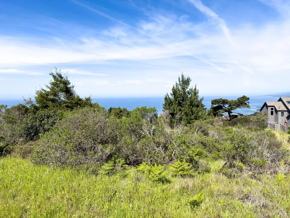 106 Hares Tail The Sea Ranch, CA 95497