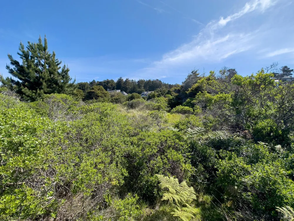106 Hares Tail The Sea Ranch, CA 95497