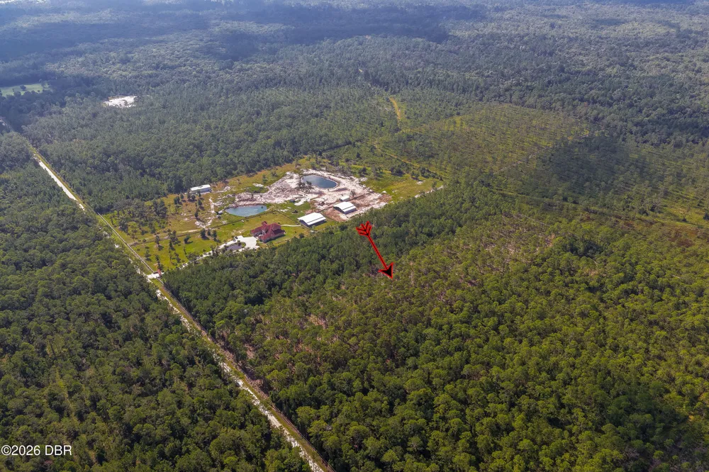 Ninemile Point Road Pierson, FL 32180