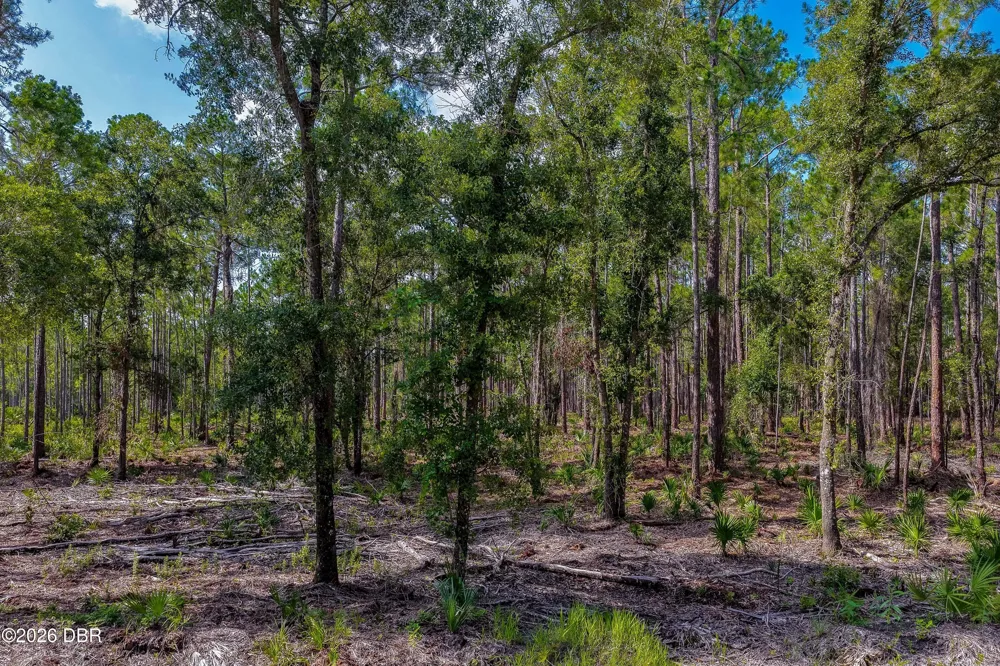 Ninemile Point Road Pierson, FL 32180