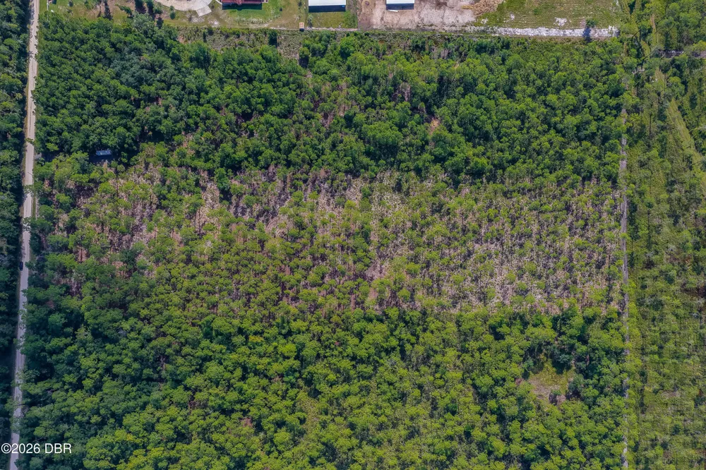 Ninemile Point Road Pierson, FL 32180