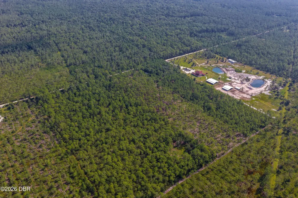 Ninemile Point Road Pierson, FL 32180