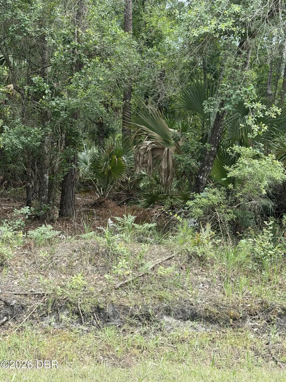 Ninemile Point Road Pierson, FL 32180