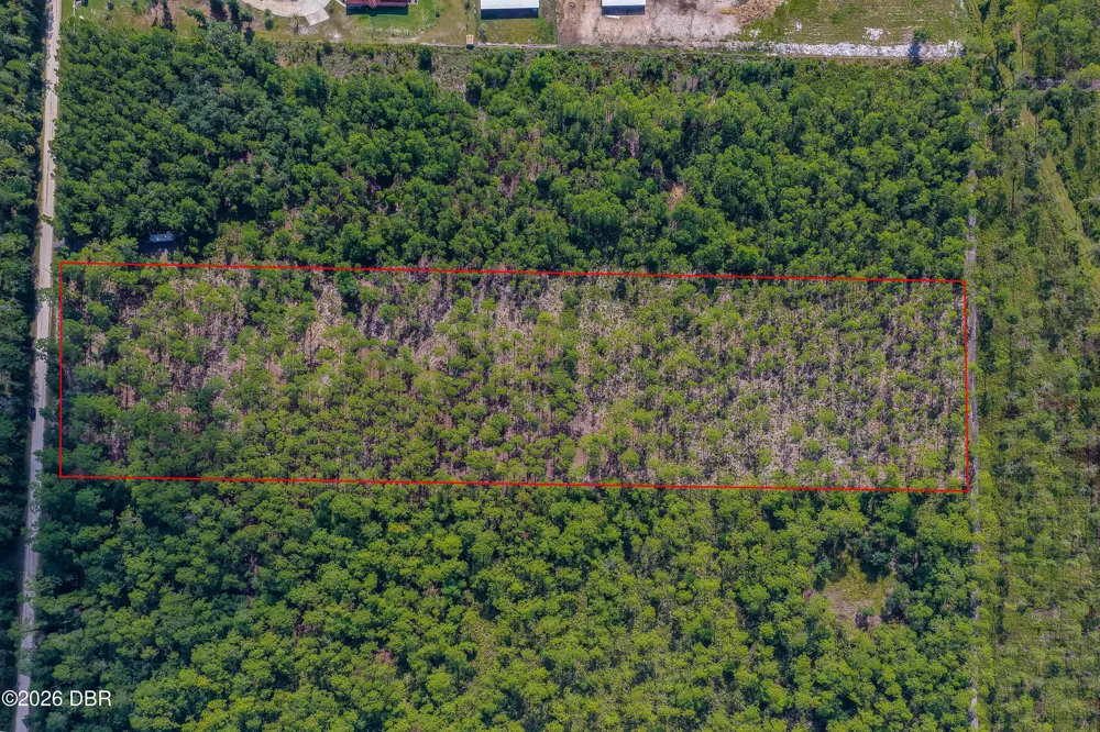 Ninemile Point Road Pierson, FL 32180