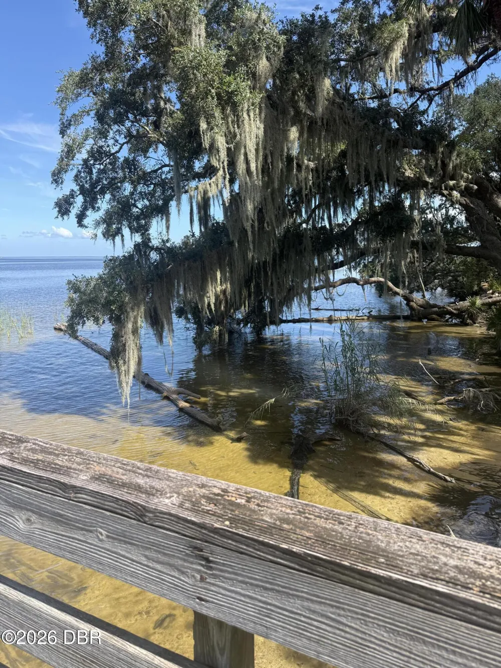 Ninemile Point Road Pierson, FL 32180