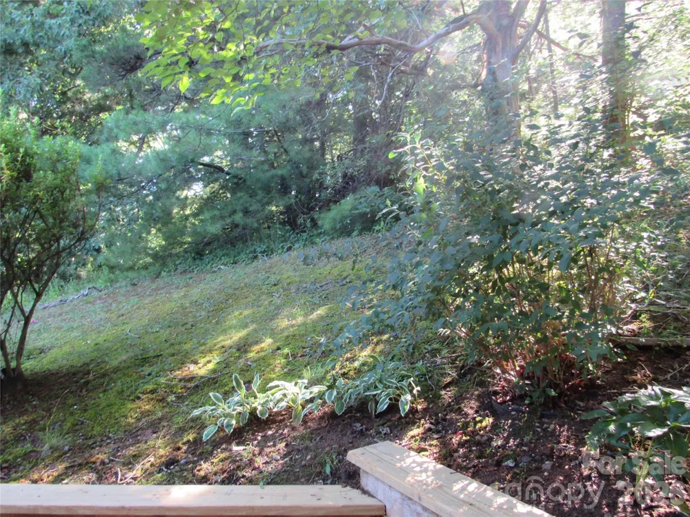6 Woodlands Drive Black Mountain, NC 28711