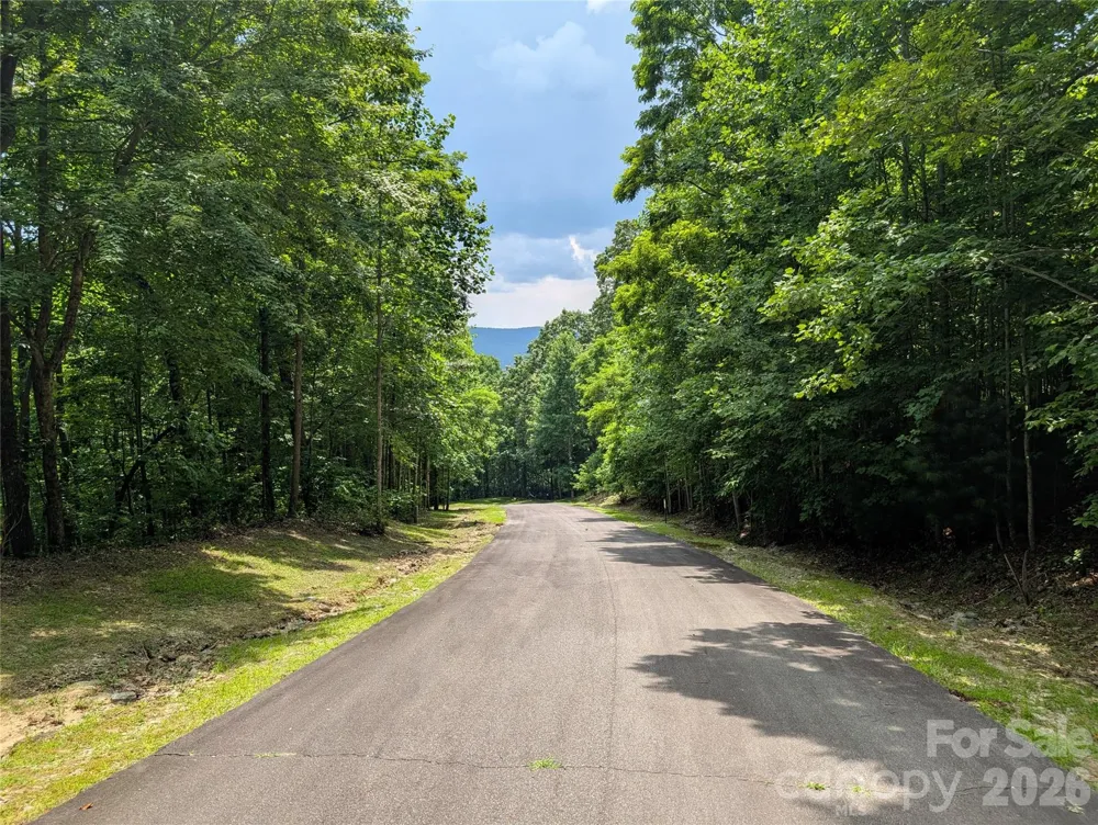 115 Ivywood Lane Laurel Park, NC 28739