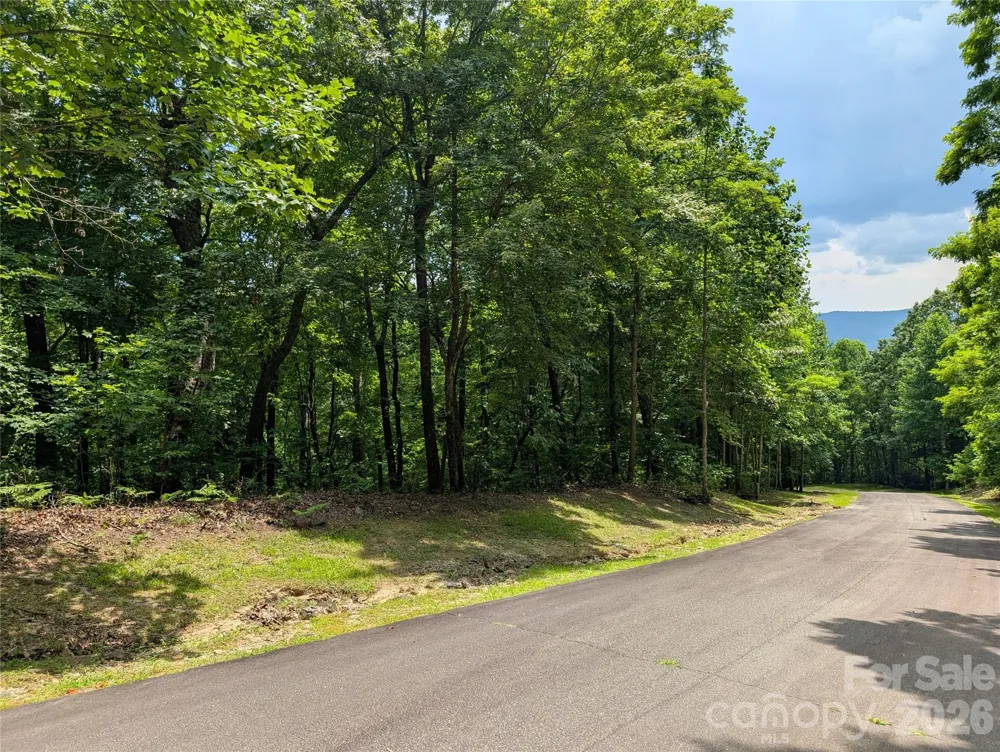 115 Ivywood Lane Laurel Park, NC 28739