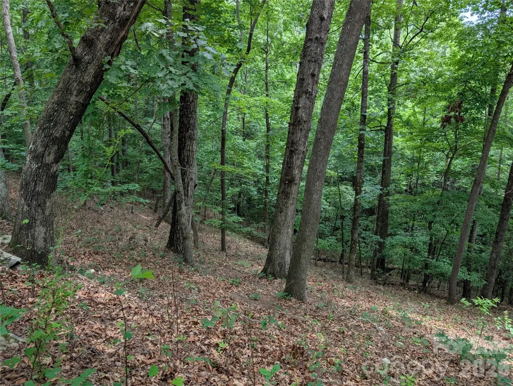 115 Ivywood Lane Laurel Park, NC 28739