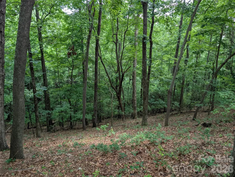 115 Ivywood Lane Laurel Park, NC 28739