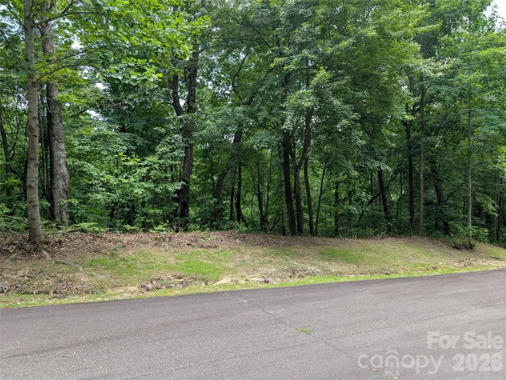 115 Ivywood Lane Laurel Park, NC 28739