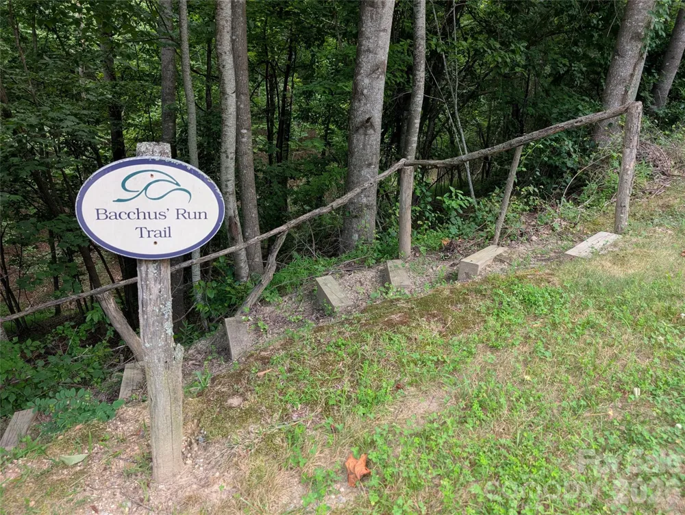 115 Ivywood Lane Laurel Park, NC 28739