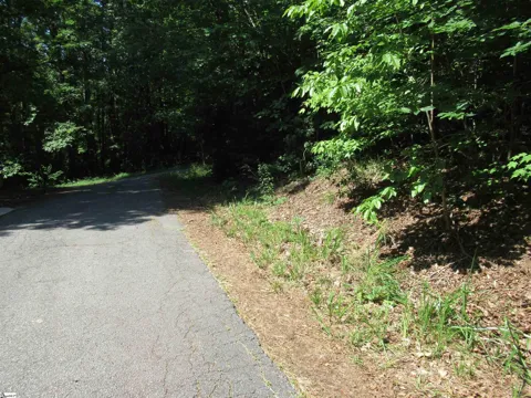 00 Gauley Falls Road #Lot 15 Gauley Falls