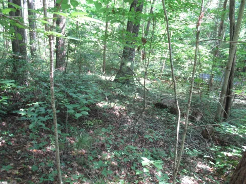 00 Gauley Falls Road #Lot 13 Gauley Falls