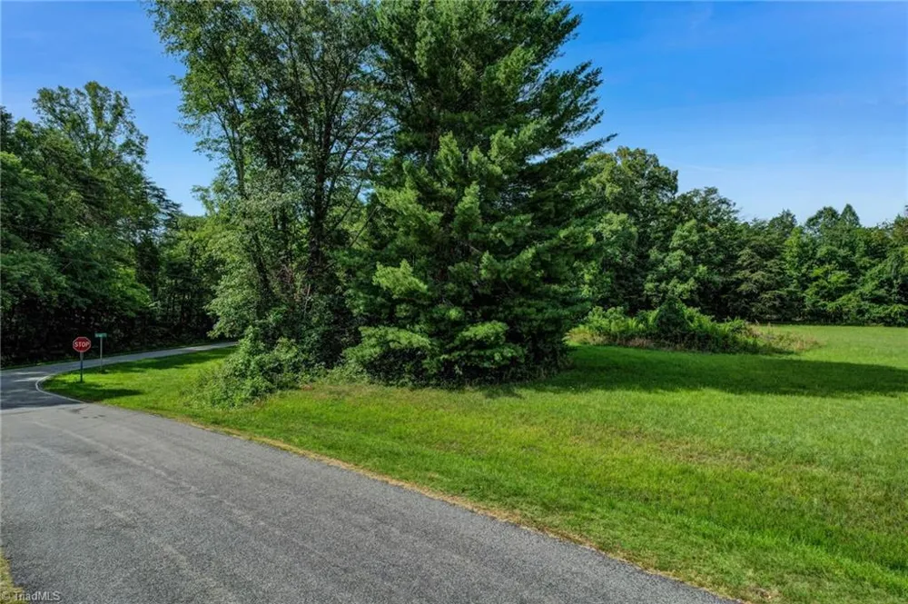 Lot 3 Henry Road Madison, NC 27025