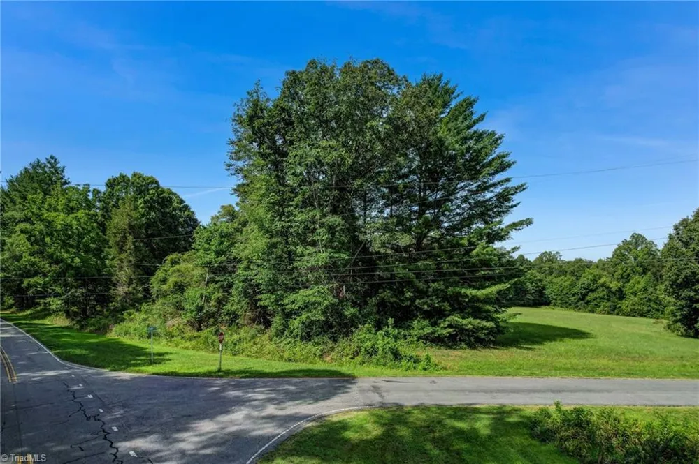 Lot 3 Henry Road Madison, NC 27025