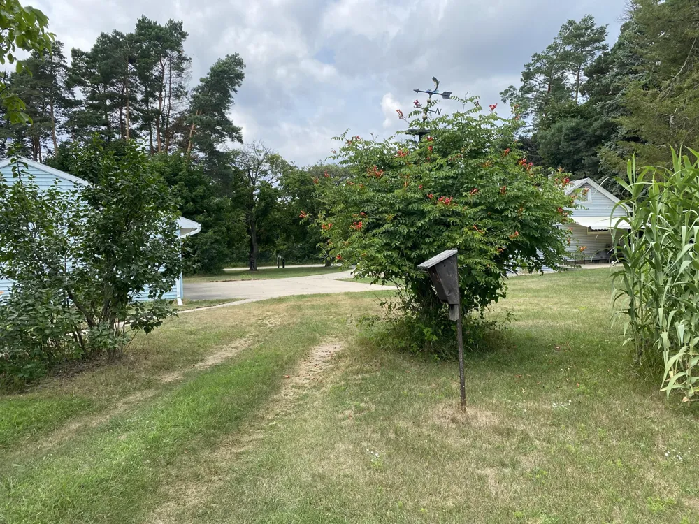 627 S Ensley Street Howard City, MI 49329