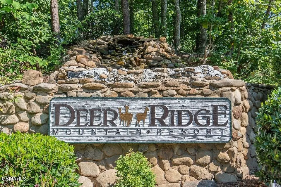 3710 Weber Road #E306 Gatlinburg, TN 37738
